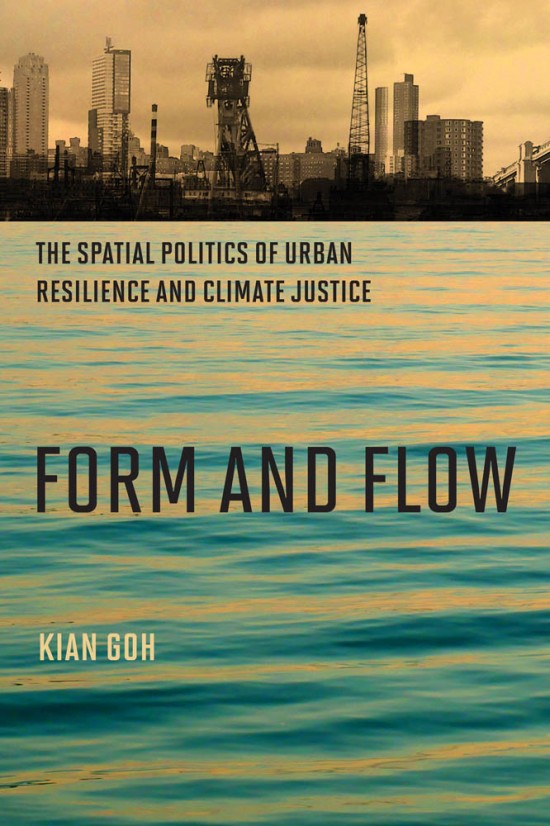 Form and Flow book cover